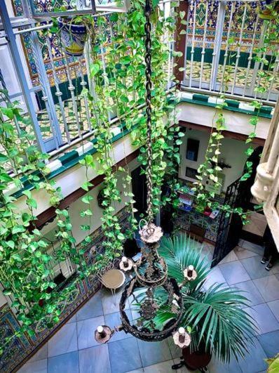 Hostal Lis إشبيلية المظهر الخارجي الصورة